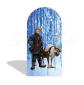 Frozen Theme Happy Birthday Party Arch Backdrop Wall Cloth Cover